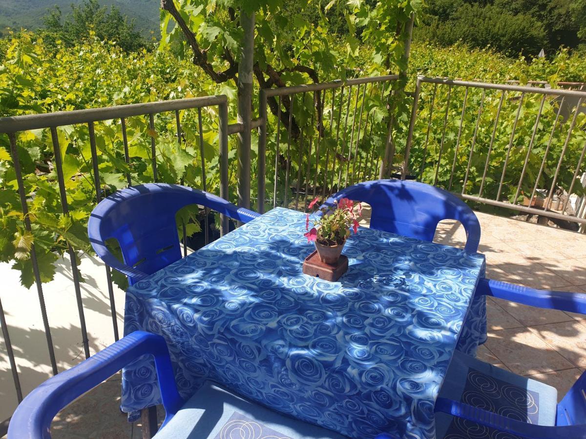 Mijailovic Apartmani Kaluderac Bagian luar foto