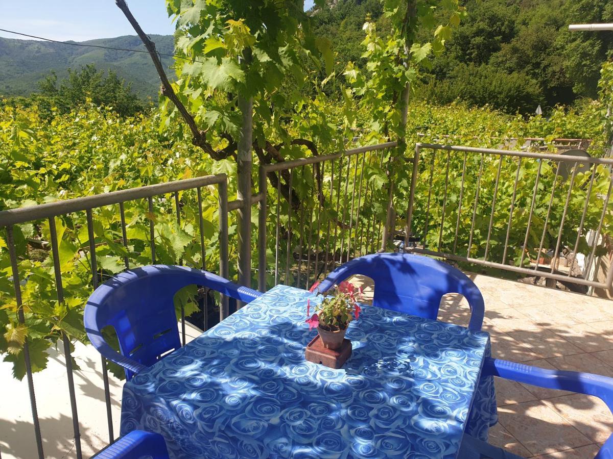 Mijailovic Apartmani Kaluderac Bagian luar foto