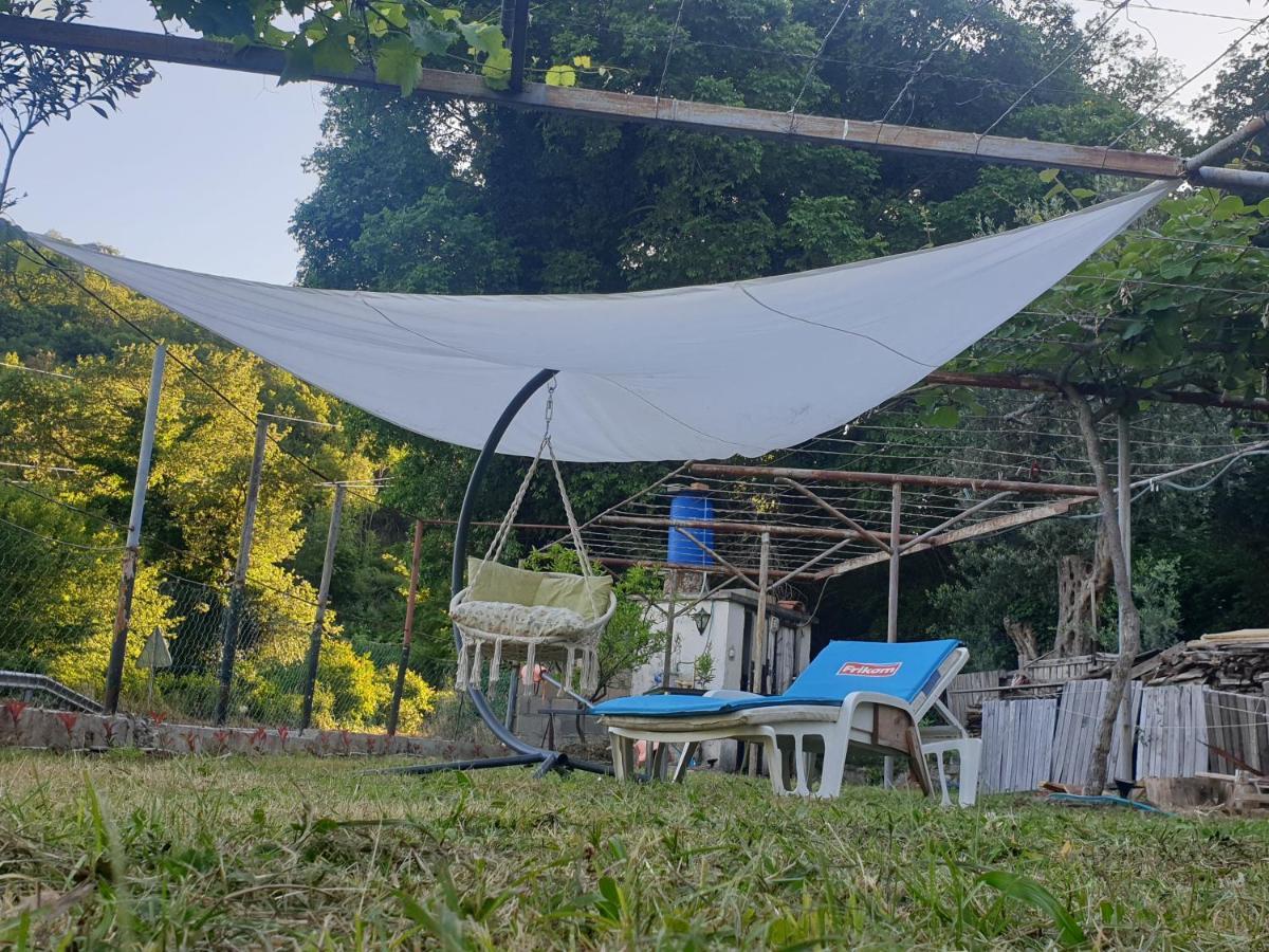 Mijailovic Apartmani Kaluderac Bagian luar foto
