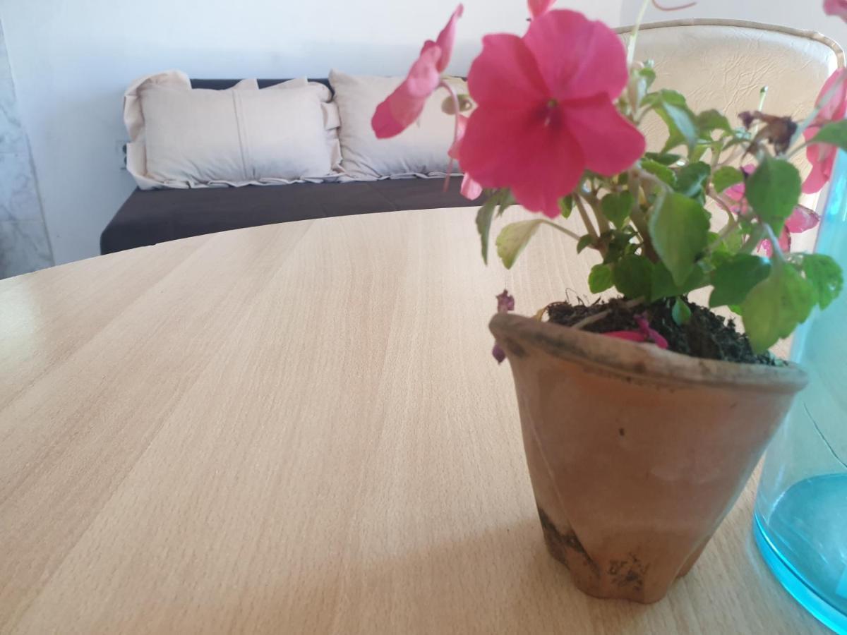 Mijailovic Apartmani Kaluderac Bagian luar foto